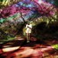 Hey Daydreamer - Sally Seltmann