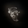 Little Match Girl - Hydras Dream