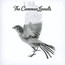 Common Linnets - Common Linnets