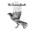 Common Linnets - Common Linnets