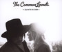 Calm After The Storm - Common Linnets