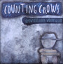 Somewhere Under Wonderlan - Counting Crows
