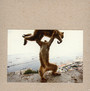 Dude Incredible - Shellac