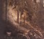 Memoria Vetusta III - Saturnian Poetry - Blut Aus Nord - powiększ Memoria Vetusta III - Saturnian Poetry - Blut Aus Nord