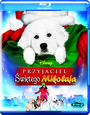 Przyjaciel Świętego Mikołaja - Movie / Film