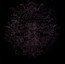 Endless Forms Most Beautiful - Nightwish