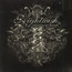 Endless Forms Most Beautiful - Nightwish