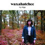 Ivy Tripp - Waxahatchee