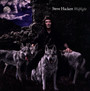 Wolflight - Steve Hackett