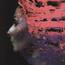 Hand.Cannot.Erase - Steven Wilson