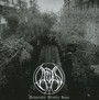 Despicable Broken Hope - Vardan