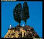 Goodbye Cruel World - Elvis Costello