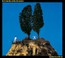 Goodbye Cruel World - Elvis Costello