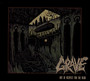 Out Of Respect For The Dead - Grave