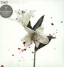 Hidden City - The Cult