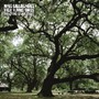 Dying Of The Light - Noel Gallagher