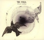 Distance Inbetween - The Coral