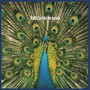 Expecting To Fly - Bluetones