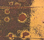 Magnetic Seasons - Mugstar