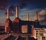 Animals - Pink Floyd