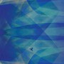 Bluefly - Cyro Baptista