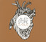 Radius - Allen Stone