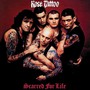 Scarred For Life - Rose Tattoo