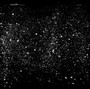 World Unseen - Mamiffer