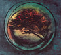 Aura - Tides From Nebula