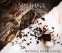 A Predator's Portrait/Natural Born Chaos - Soilwork