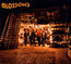 Blossoms - Blossoms