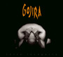Terra Incognita - Gojira