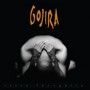 Terra Incognita - Gojira