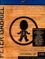 Still Growing Up: Live & U - Peter Gabriel