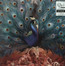 Sorceress - Opeth