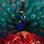 Sorceress - Opeth