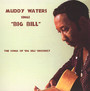 Sings Big Bill Broonzy - Muddy Waters