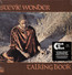 Talking Book - Stevie Wonder