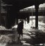 Scratch - Peter Gabriel 2 - Peter Gabriel