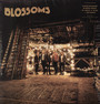 Blossoms - Blossoms