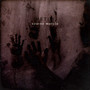 Black Butterflies - Metus