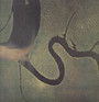 The Serpent's Egg - Dead Can Dance