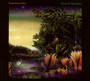 Tango In The Night - Fleetwood Mac