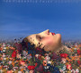 Magnolia - The Pineapple Thief 