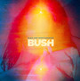 Black & White Rainbows - Bush