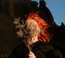 Silver Eye - Goldfrapp