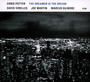 Dreamer Is The Dream - Chris Potter