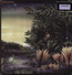 Tango In The Night - Fleetwood Mac Tango In The Night - Fleetwood Mac