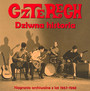 Dziwna Historia - Czterech