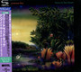 Tango In The Night - Fleetwood Mac